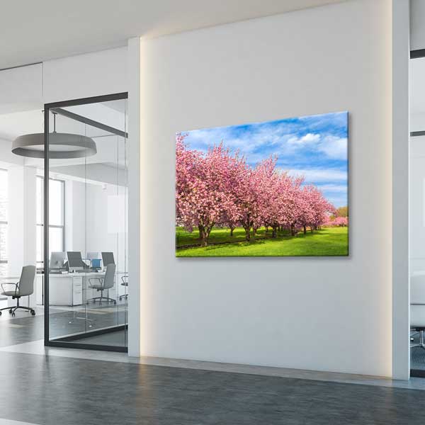 Pembe Bahar Çiçekleri ve Park Manzarası Kanvas Tablo 13607