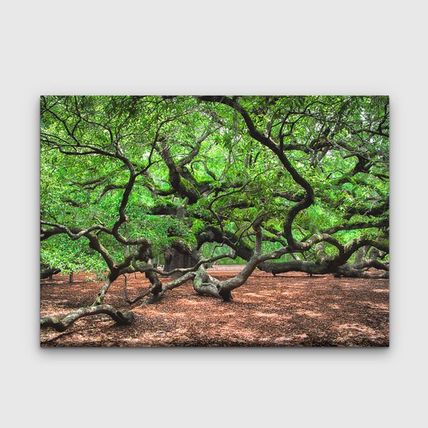 Kıvrımlı Dallara Sahip Yeşil Orman Manzarası Kanvas Tablo 13616