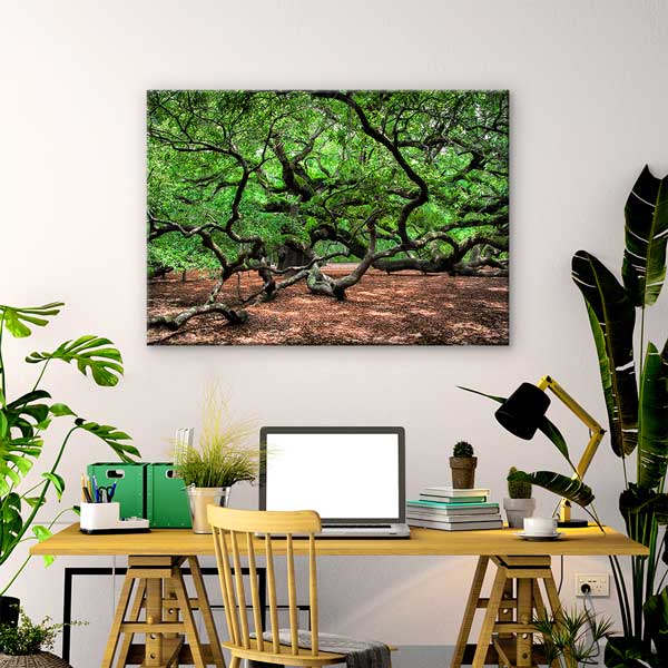 Kıvrımlı Dallara Sahip Yeşil Orman Manzarası Kanvas Tablo 13616