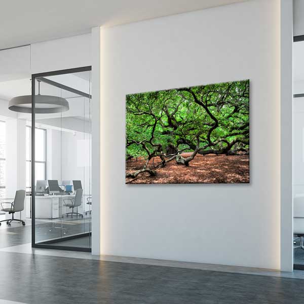 Kıvrımlı Dallara Sahip Yeşil Orman Manzarası Kanvas Tablo 13616