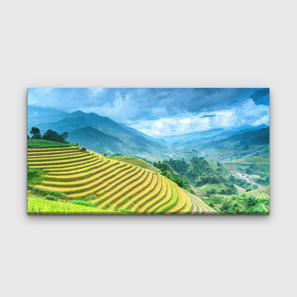 canvas-wall-design-13649-00 Teras Pirinç Tarlaları Manzara Kanvas Tablo – 13649