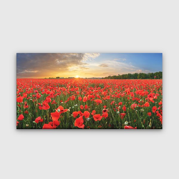 Gün Batımı Gelincik Çiçeği Tarlası Panoramik Kanvas Tablo – 13696