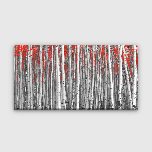 Kırmızı Yapraklı Siyah Beyaz Orman Duvar Tablosu – 13760