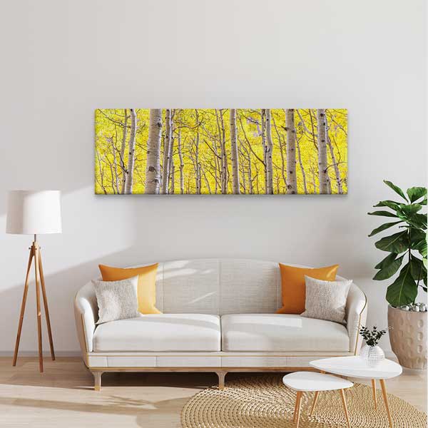 Parlak Sarı Huş Ormanı Panoramik Doğa Manzarası Duvar Tablosu 13828