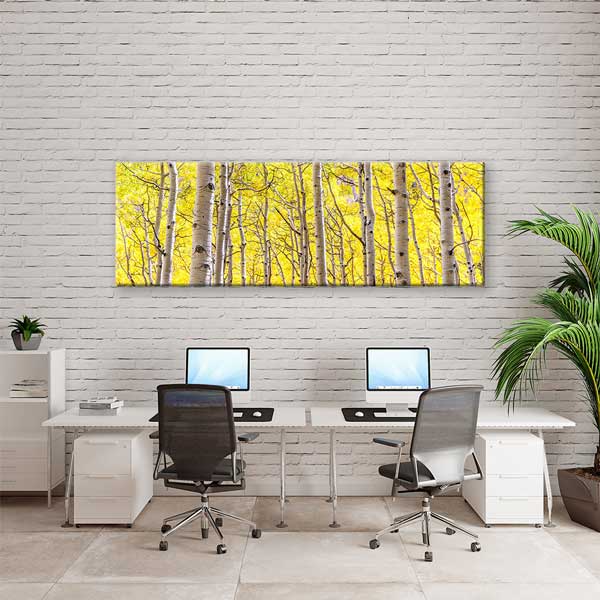Parlak Sarı Huş Ormanı Panoramik Doğa Manzarası Duvar Tablosu 13828