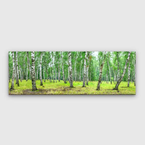Huş Ormanı ve Yeşil Doğa Manzaralı Kanvas Tablo 13865
