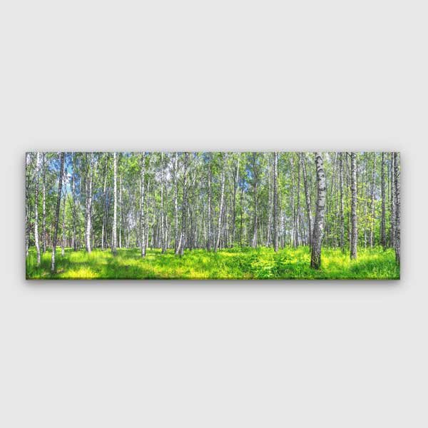 canvas-wall-design-13902-00 Huş Ormanı Manzarası Kanvas Tablo 13902