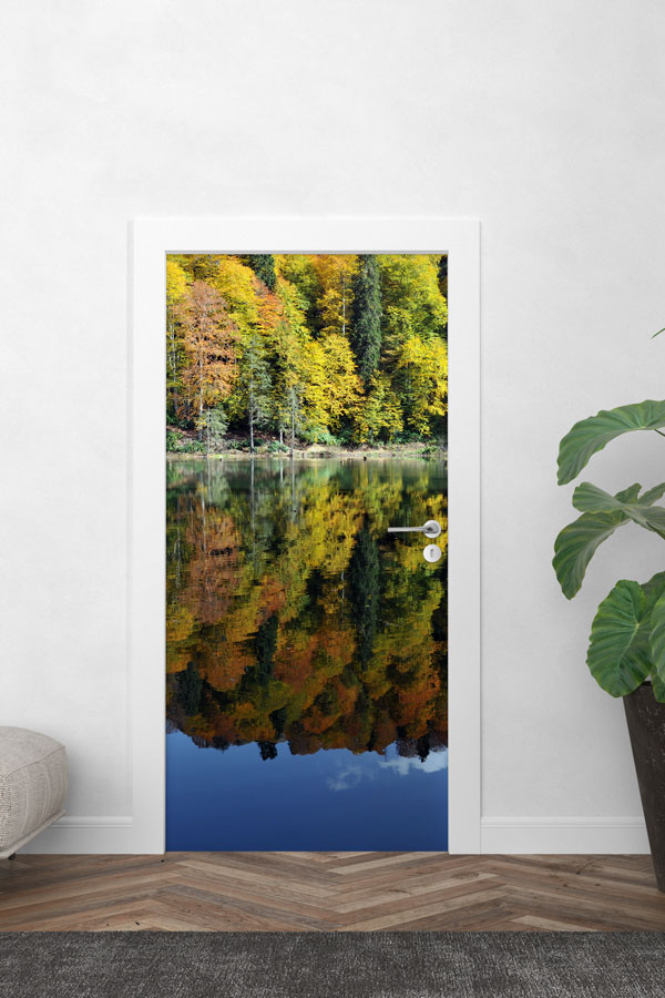 Türkiye Fotoğrafları - Kapı Tasarımı 9839