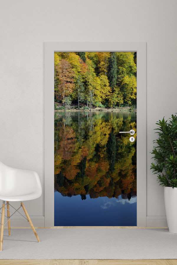 Türkiye Fotoğrafları - Kapı Tasarımı 9839