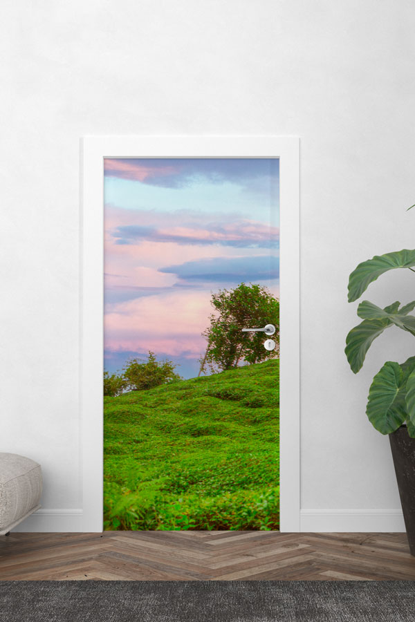 Türkiye Fotoğrafları - Kapı Tasarımı 9840