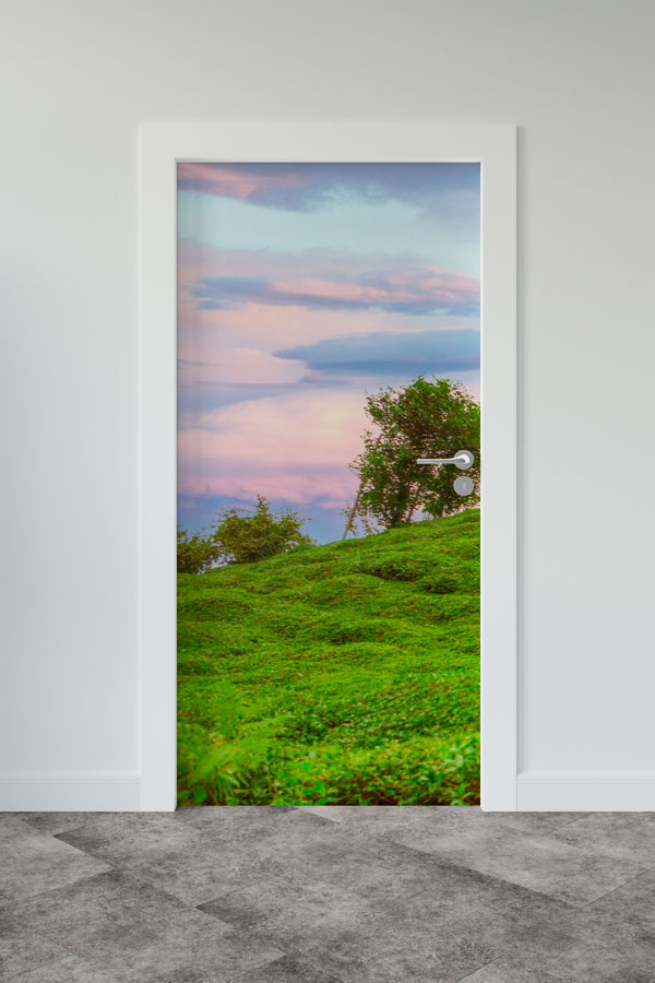 Türkiye Fotoğrafları - Kapı Tasarımı 9840