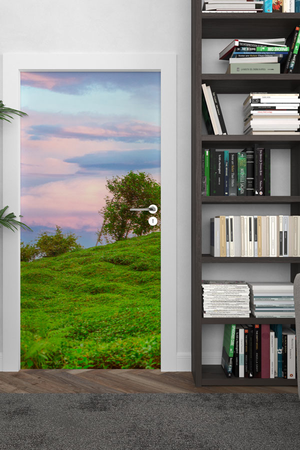 Türkiye Fotoğrafları - Kapı Tasarımı 9840