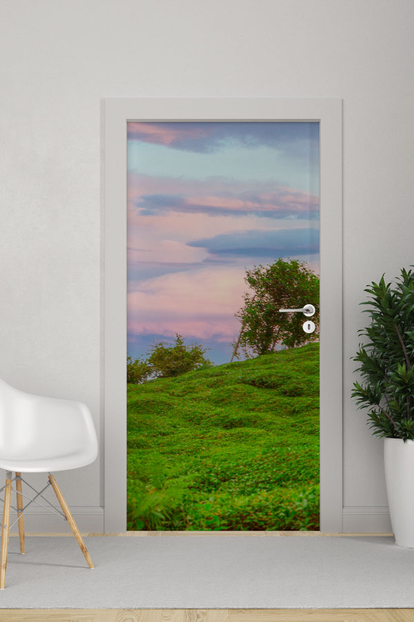 Türkiye Fotoğrafları - Kapı Tasarımı 9840