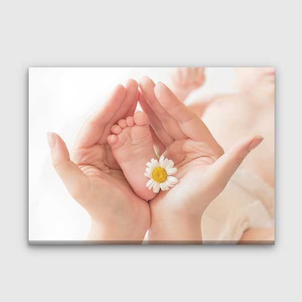 Bebek Ayağı ve Papatya Temalı Duvar Tablosu – 1750