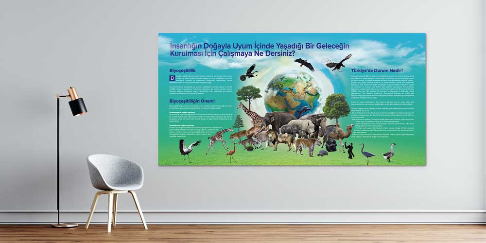Biyoçeşitlilik ve Doğa Koruması Temalı Duvar Dekoru F-111