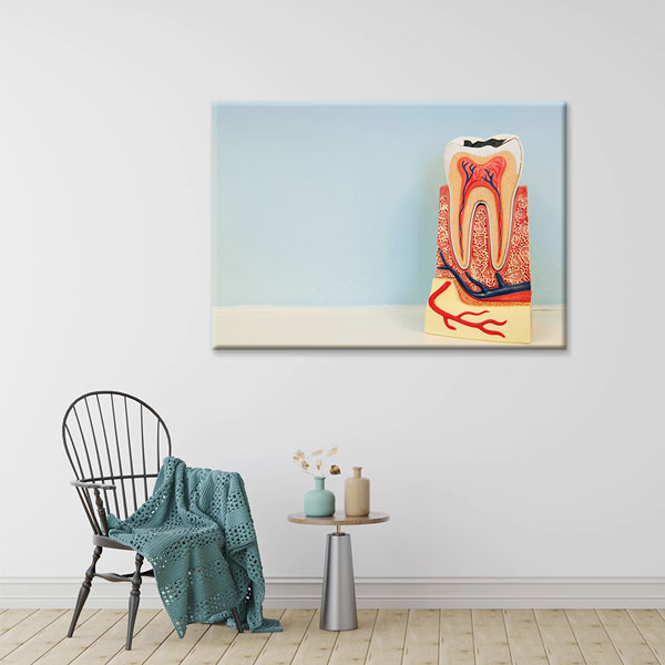 Diş Yapısı Modeli Temalı Kanvas Duvar Tablosu – 1166