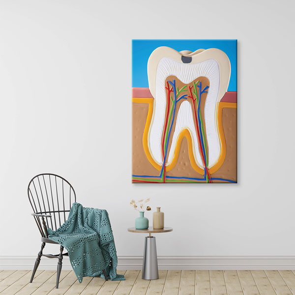 dental-wall-decor-1150-01 Diş Anatomisi İllüstrasyonu Temalı Kanvas Duvar Tablosu – 1150