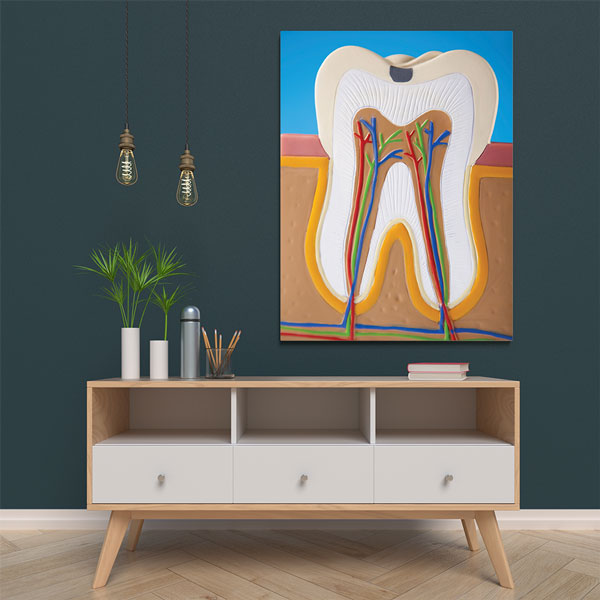 dental-wall-decor-1150-05 Diş Anatomisi İllüstrasyonu Temalı Kanvas Duvar Tablosu – 1150