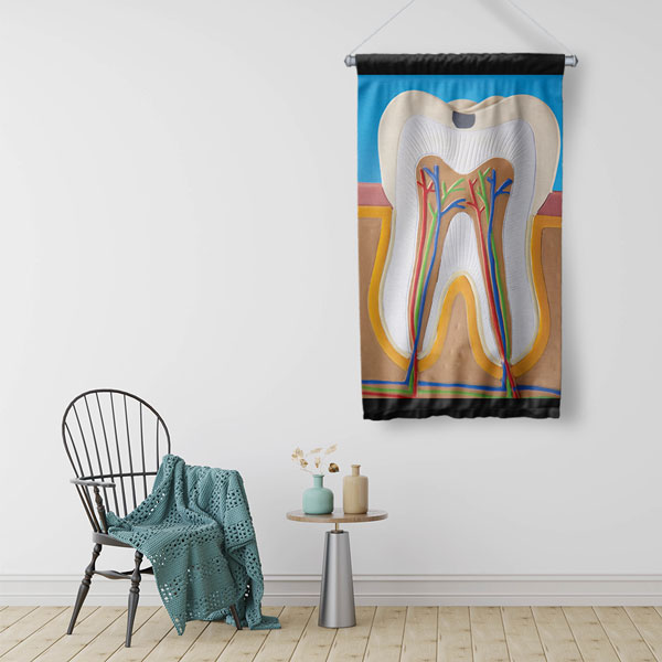 Diş Anatomisi Desenli Duvar Flaması 6047