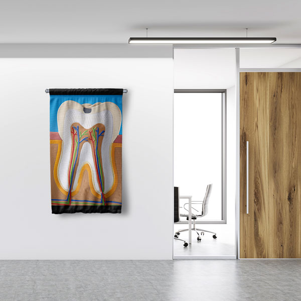 Diş Anatomisi Desenli Duvar Flaması 6047