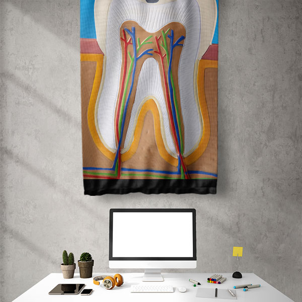 Diş Anatomisi Desenli Duvar Flaması 6047