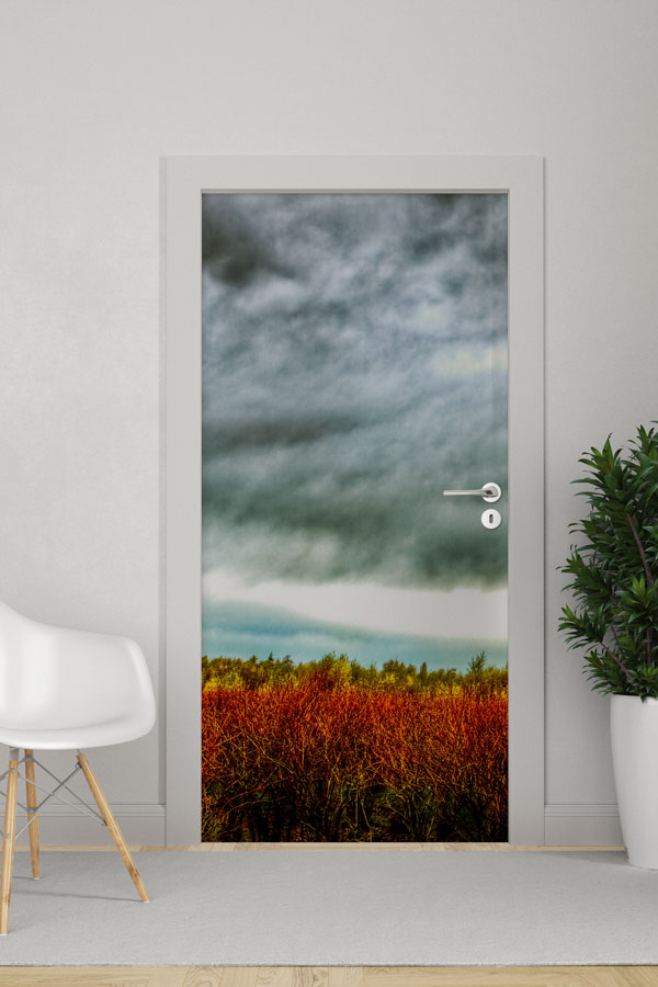 Bulutlu Gökyüzü ve Kızıl Çayır Kapı Tasarımı 9270