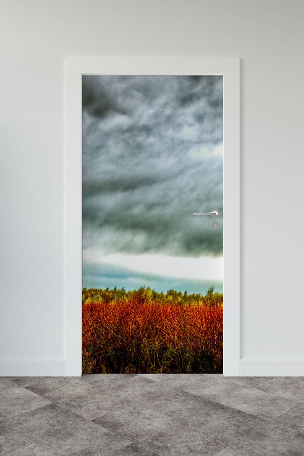 door-art-design-9270-00 Manzara - Doğa Kapı Tasarımı 9270