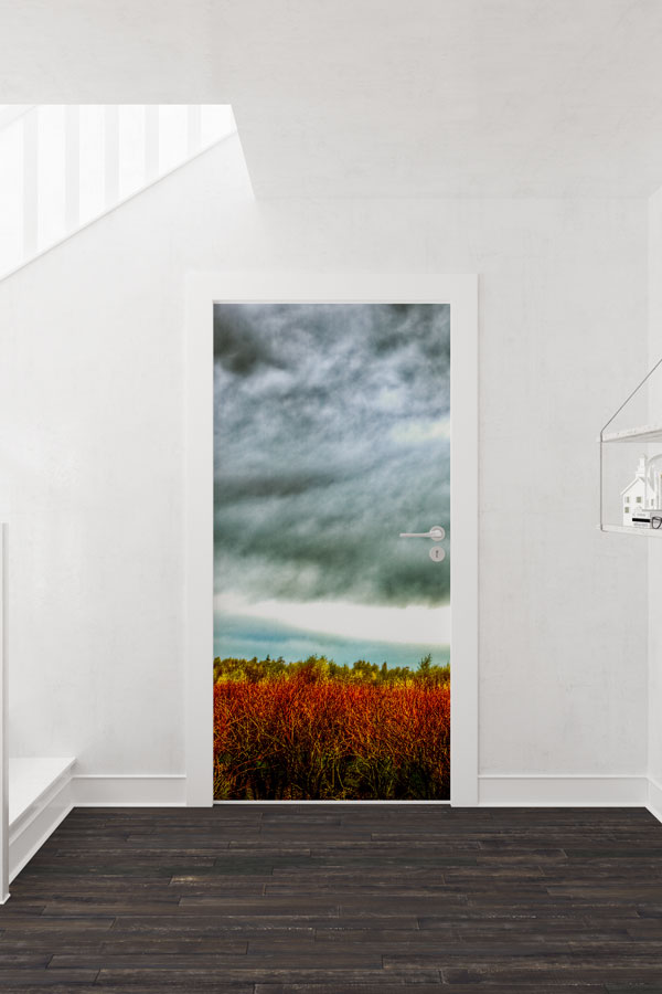 Bulutlu Gökyüzü ve Kızıl Çayır Kapı Tasarımı 9270
