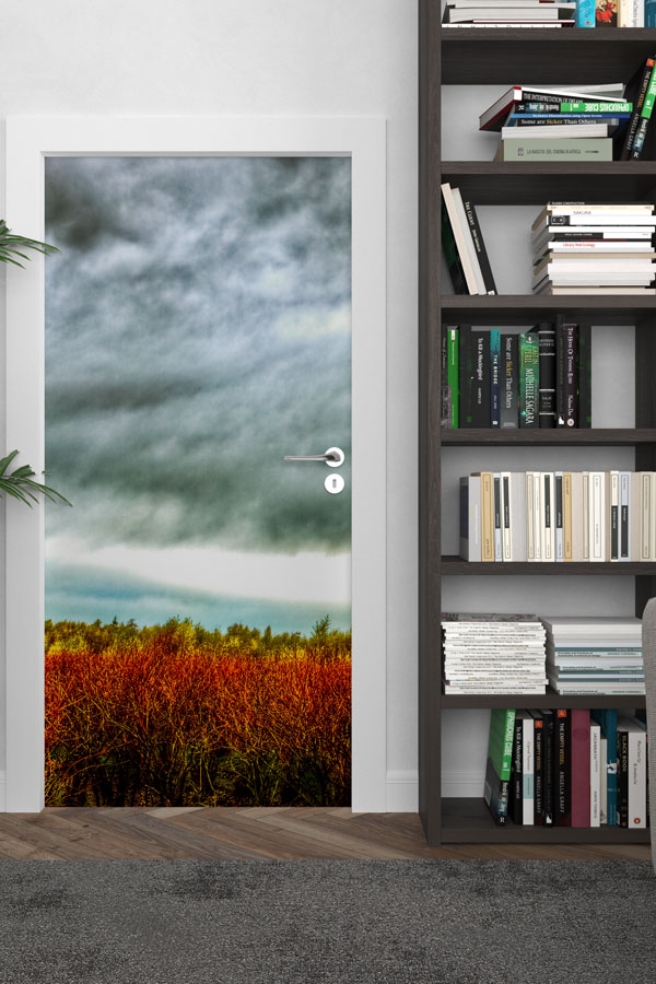 Bulutlu Gökyüzü ve Kızıl Çayır Kapı Tasarımı 9270