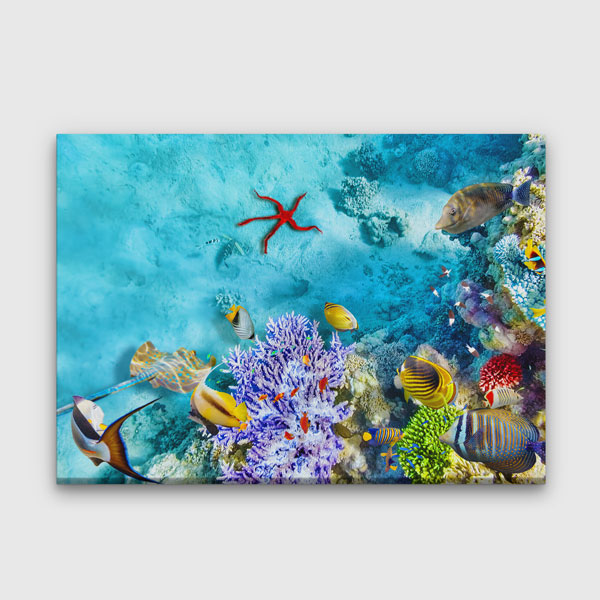Renkli Mercan Resifi ve Tropikal Balıklar Deniz Temalı Duvar Tablosu 4570