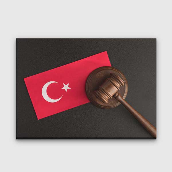 Türk Bayraklı Hakim Tokmağı Temalı Kanvas Tablo – 5262