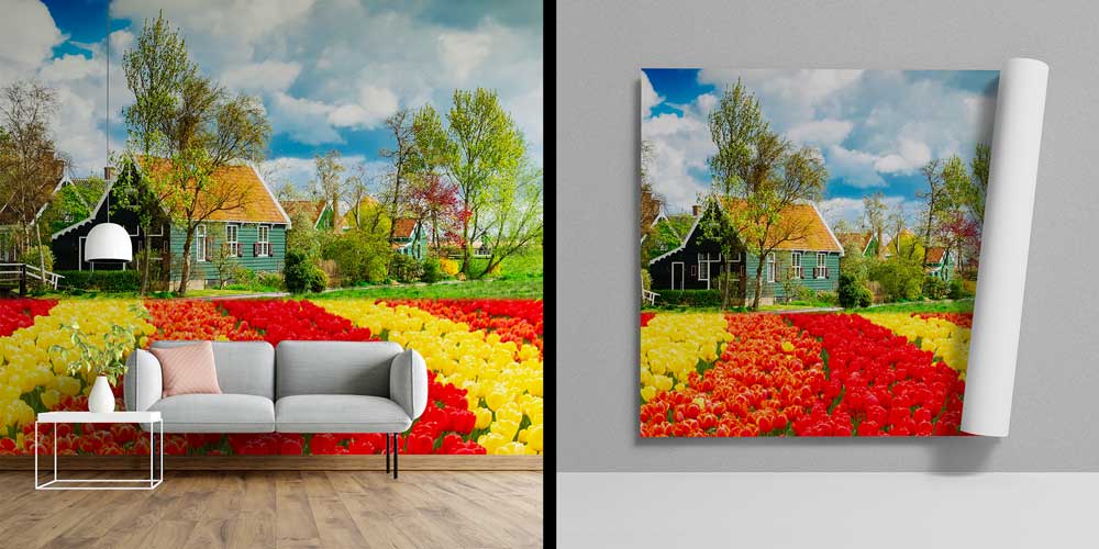 Lale Tarlaları ve Hollanda Kırsal Evleri Manzaralı Duvar Kağıdı 13029