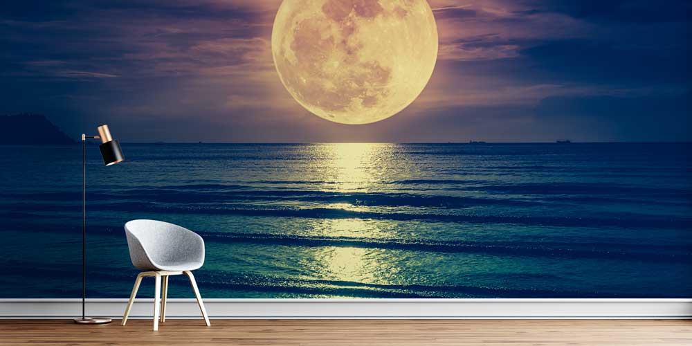 Dolunay ve Deniz Manzarası Gece Duvar Kağıdı 4409