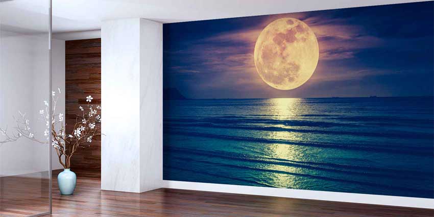 Dolunay ve Deniz Manzarası Gece Duvar Kağıdı 4409