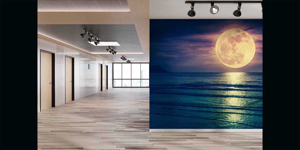 Dolunay ve Deniz Manzarası Gece Duvar Kağıdı 4409