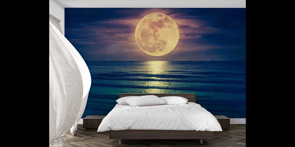 Dolunay ve Deniz Manzarası Gece Duvar Kağıdı 4409