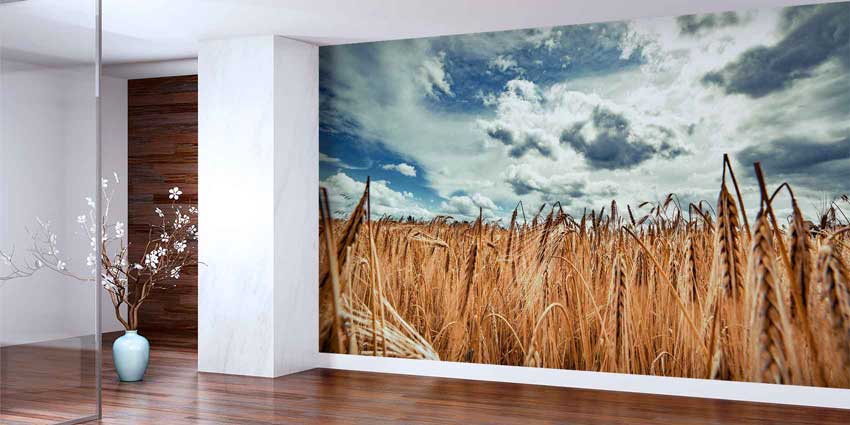 Altın Buğday Tarlası Geniş Perspektif Manzara Duvar Kağıdı 4705