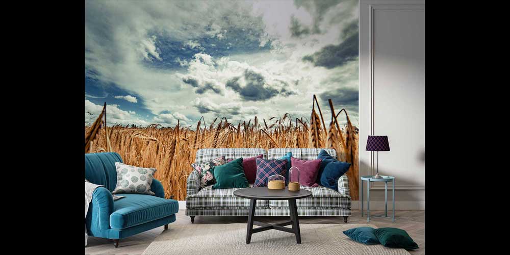 Altın Buğday Tarlası Geniş Perspektif Manzara Duvar Kağıdı 4705