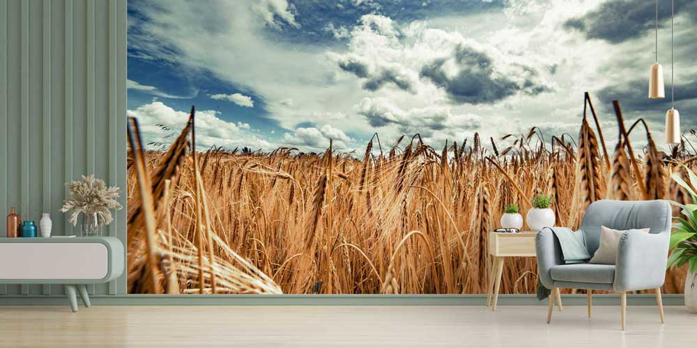 Altın Buğday Tarlası Geniş Perspektif Manzara Duvar Kağıdı 4705