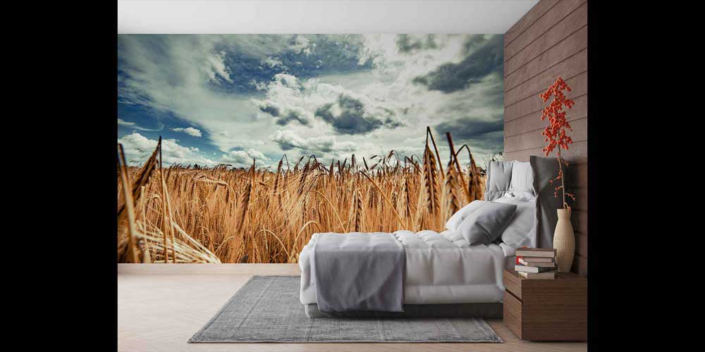 Altın Buğday Tarlası Geniş Perspektif Manzara Duvar Kağıdı 4705
