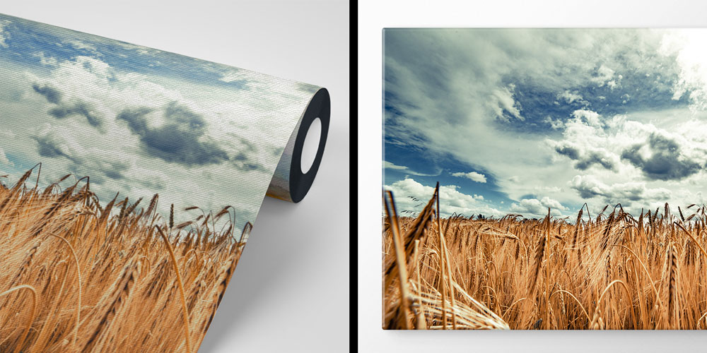 Altın Buğday Tarlası Geniş Perspektif Manzara Duvar Kağıdı 4705