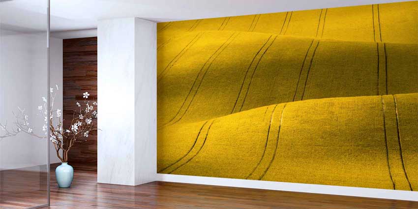 Sarı Tarla Dokusu Dalgalı Hatlar Manzarası Duvar Kağıdı 4708