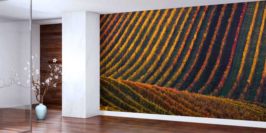 Sonbahar Bağ Sıraları Kıvrımlı Tarım Manzarası Duvar Kağıdı 4709
