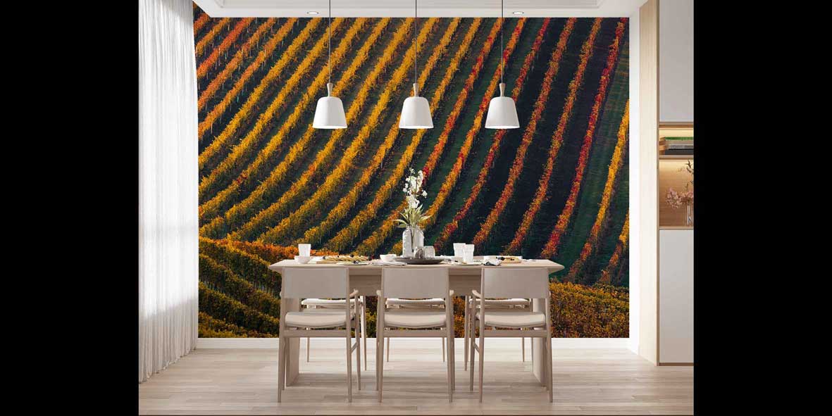 Sonbahar Bağ Sıraları Kıvrımlı Tarım Manzarası Duvar Kağıdı 4709