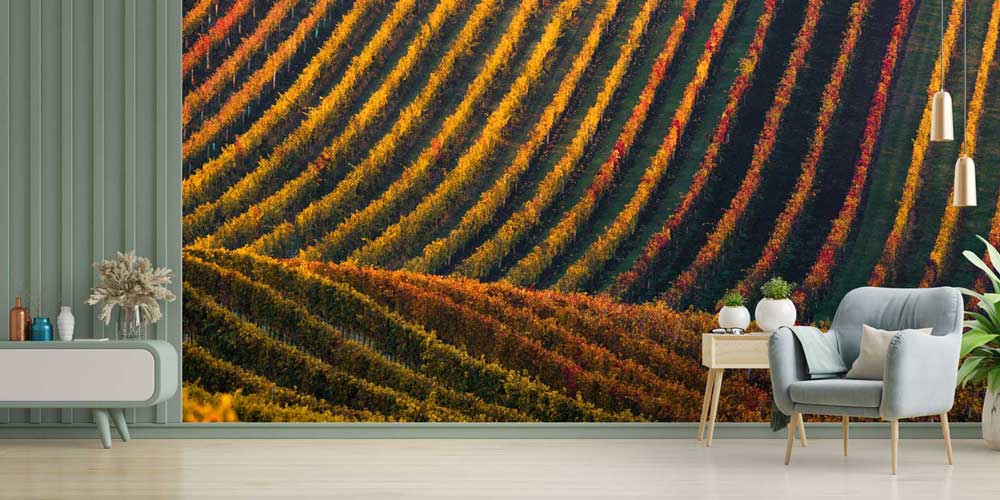 Sonbahar Bağ Sıraları Kıvrımlı Tarım Manzarası Duvar Kağıdı 4709