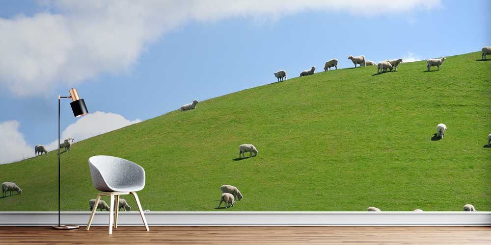 Yeşil Tepede Otlayan Koyunlar Pastoral Manzara Duvar Kağıdı 4712