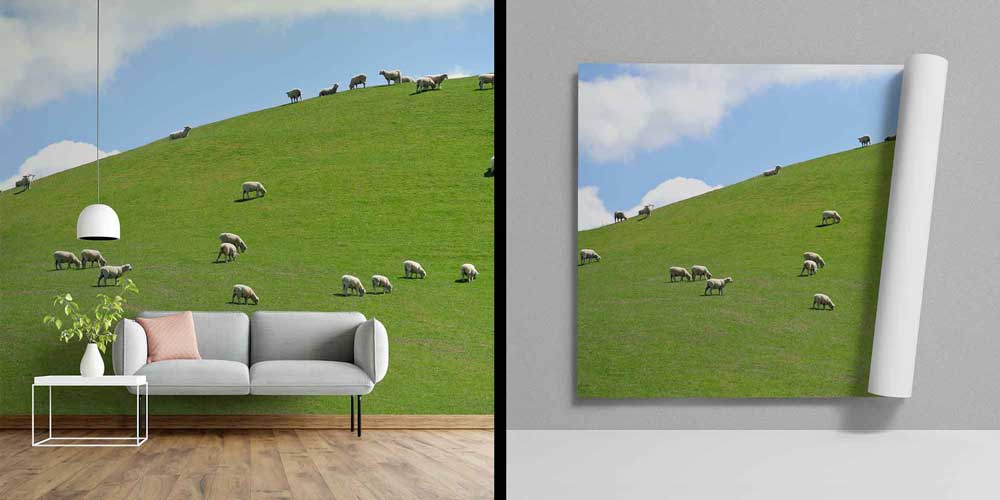Yeşil Tepede Otlayan Koyunlar Pastoral Manzara Duvar Kağıdı 4712