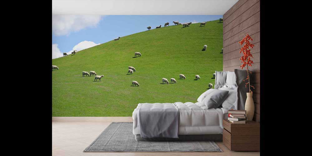 Yeşil Tepede Otlayan Koyunlar Pastoral Manzara Duvar Kağıdı 4712