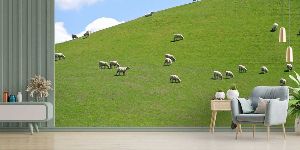 Yeşil Tepede Otlayan Koyunlar Pastoral Manzara Duvar Kağıdı 4712