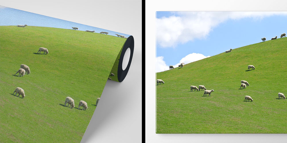 Yeşil Tepede Otlayan Koyunlar Pastoral Manzara Duvar Kağıdı 4712
